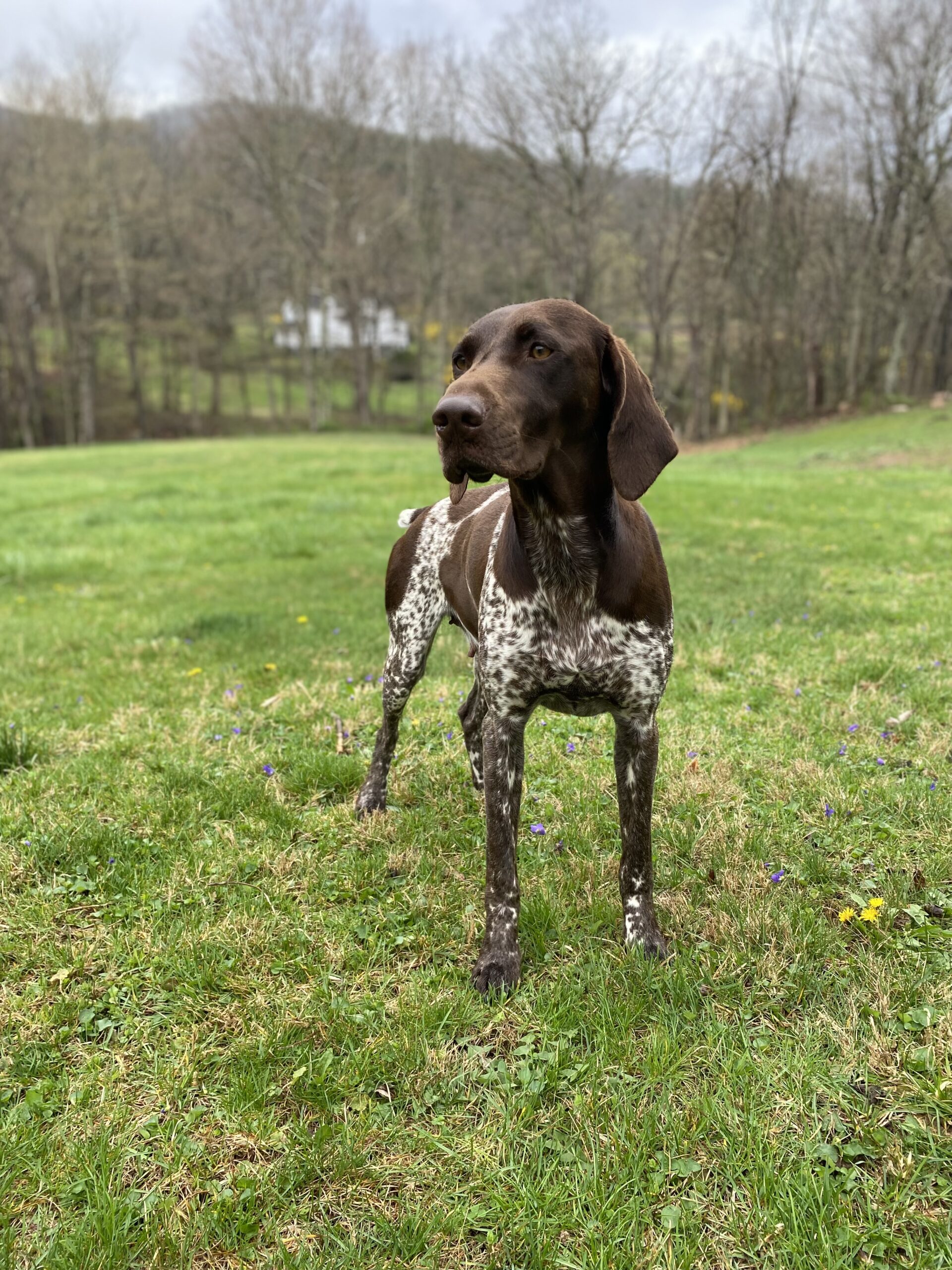 Photo Apr 04 2025, 1 57 50 PM