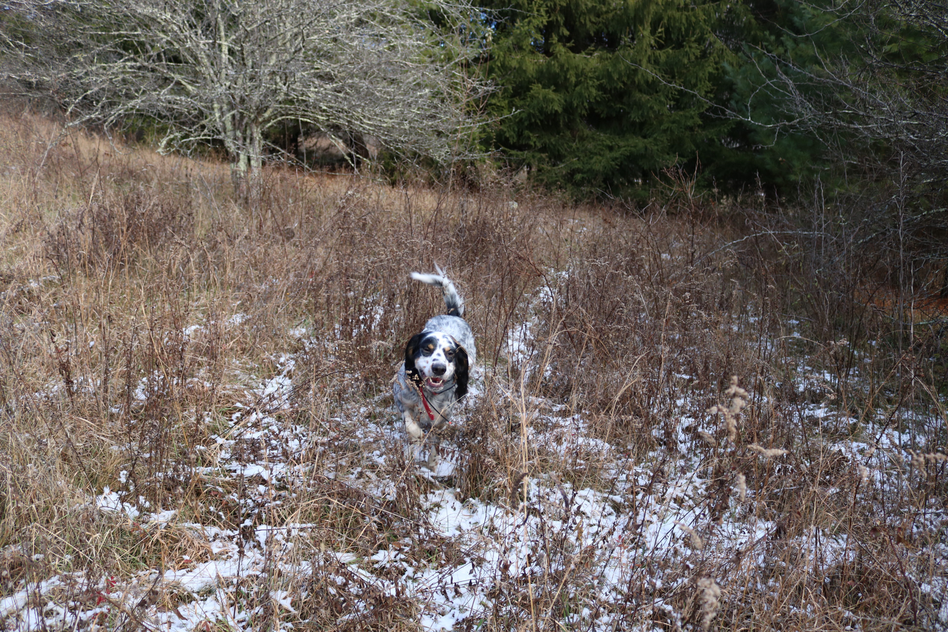 Photo Dec 07 2024, 2 47 25 PM