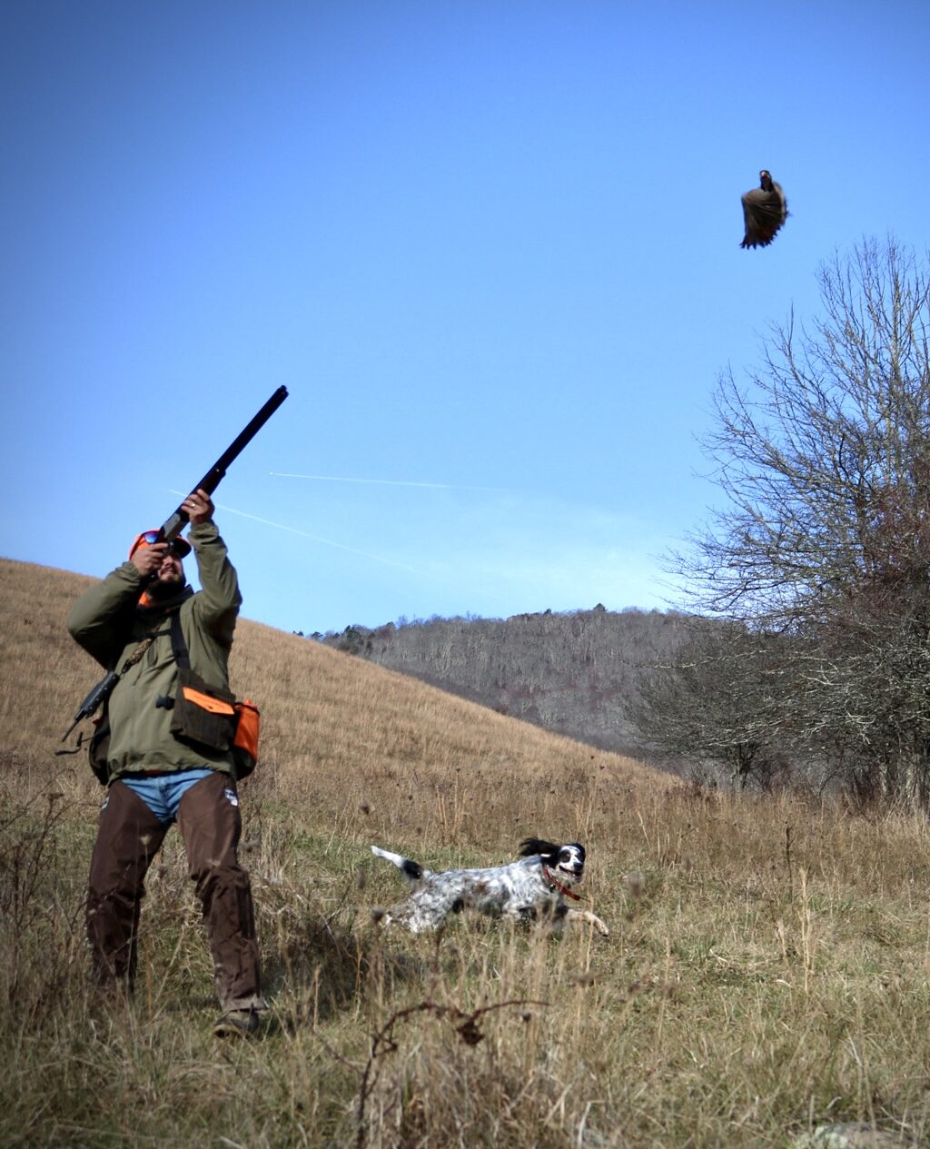 Photo Dec 07 2024, 2 52 01 PM