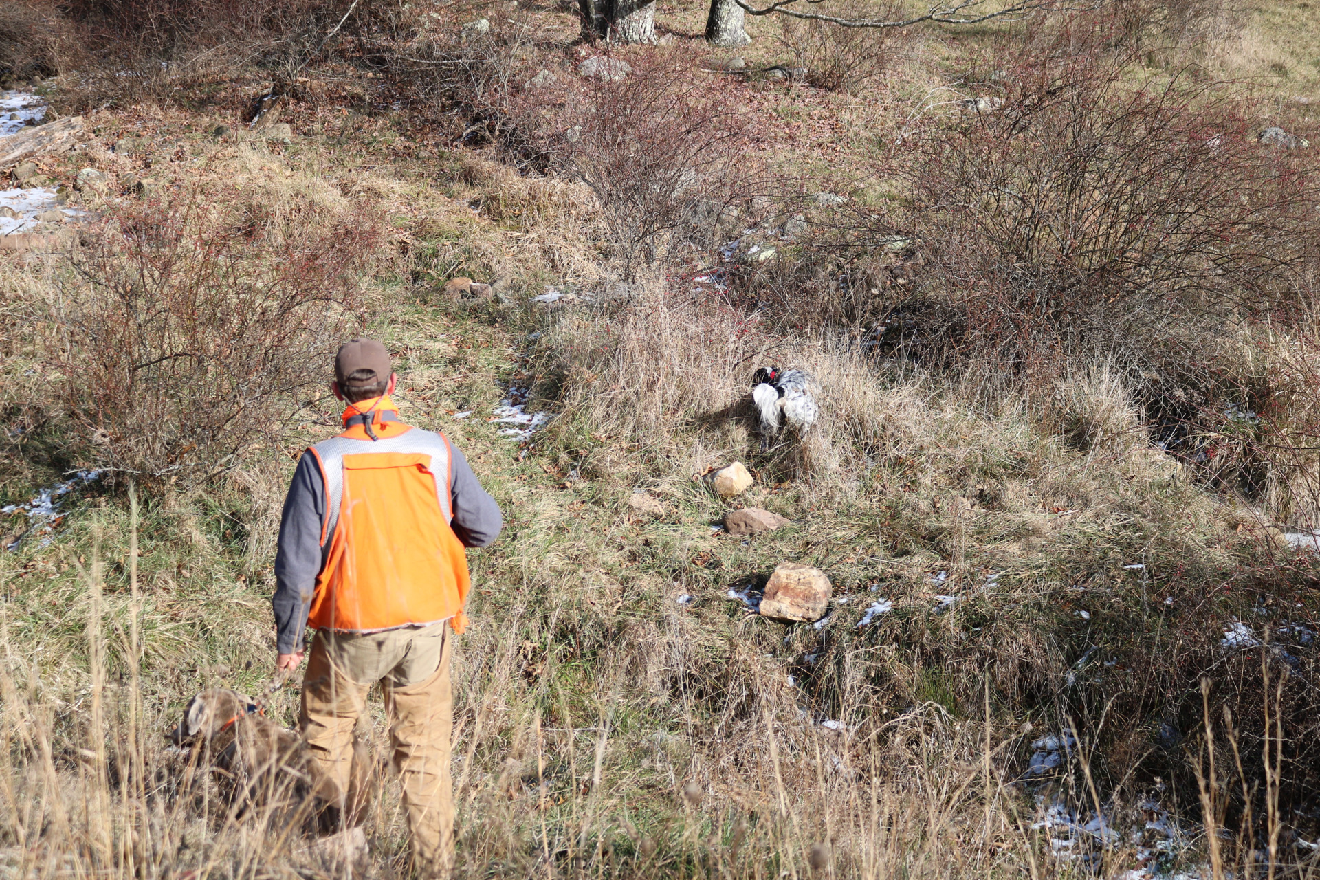 Photo Dec 07 2024, 3 11 30 PM