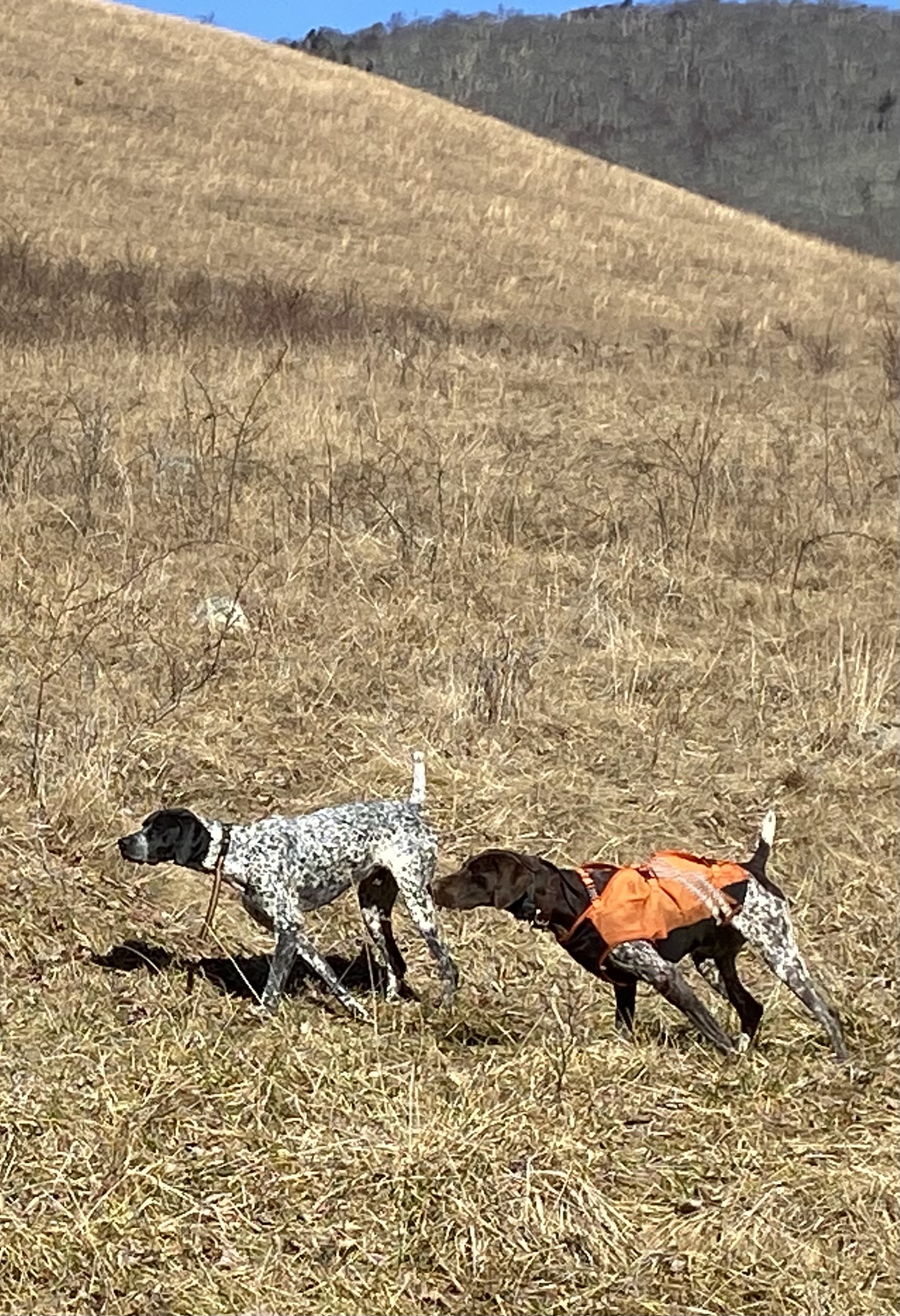 Photo Feb 07 2025, 11 48 42 AM