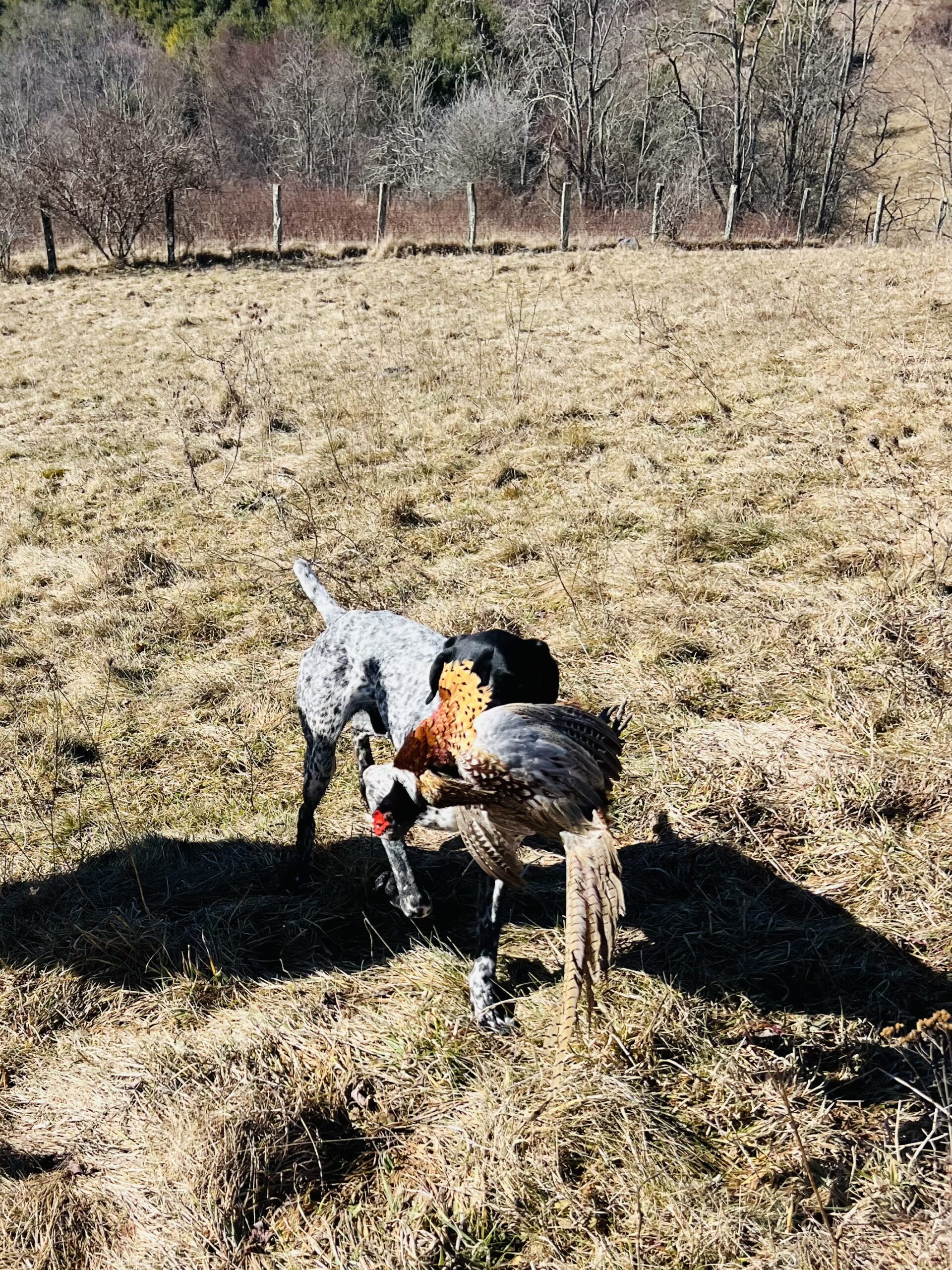 Photo Feb 07 2025, 12 05 04 PM