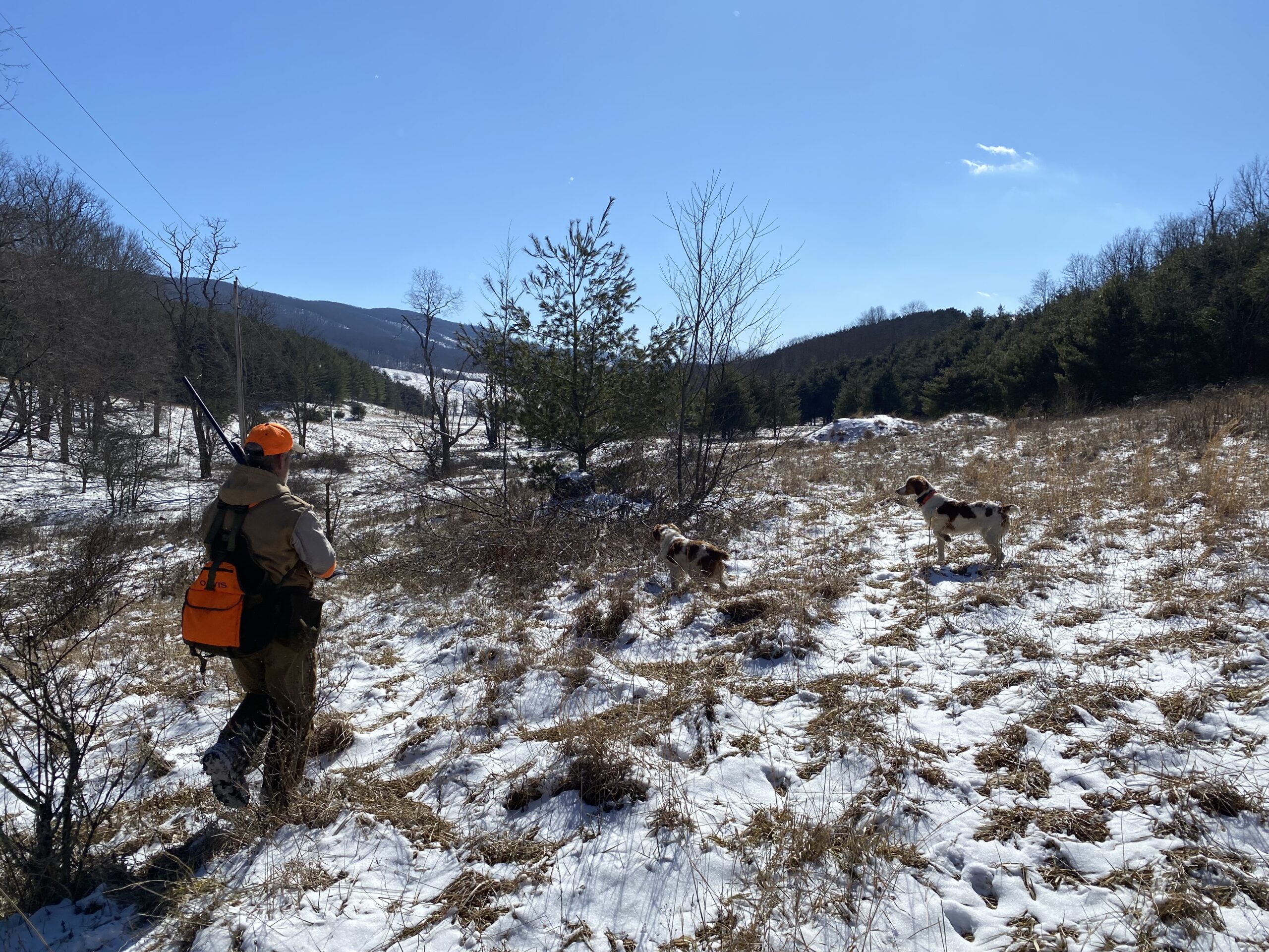 Photo Feb 21 2025, 1 58 25 PM