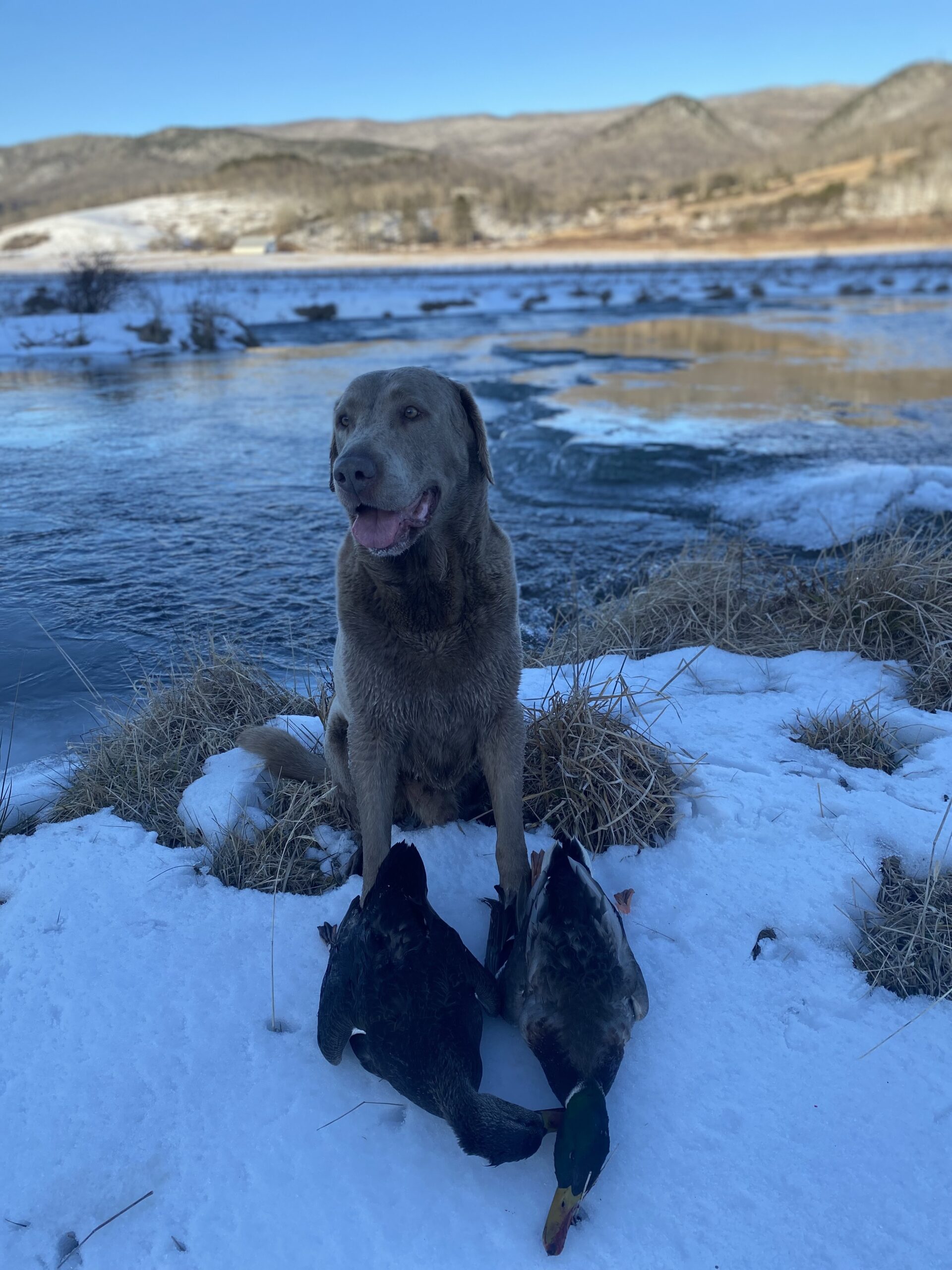 Photo Jan 28 2025, 8 22 51 AM