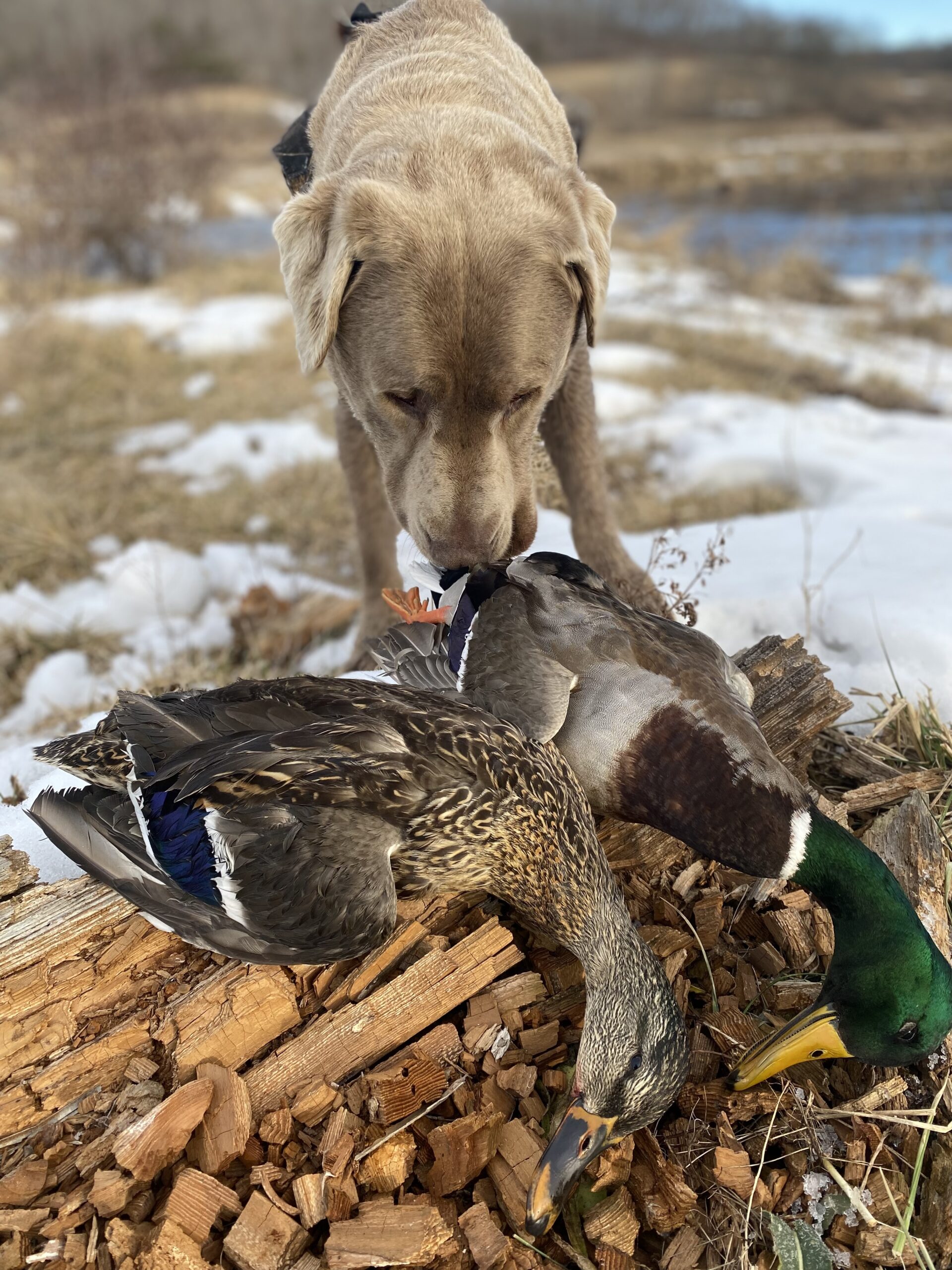 Photo Jan 30 2025, 8 44 29 AM