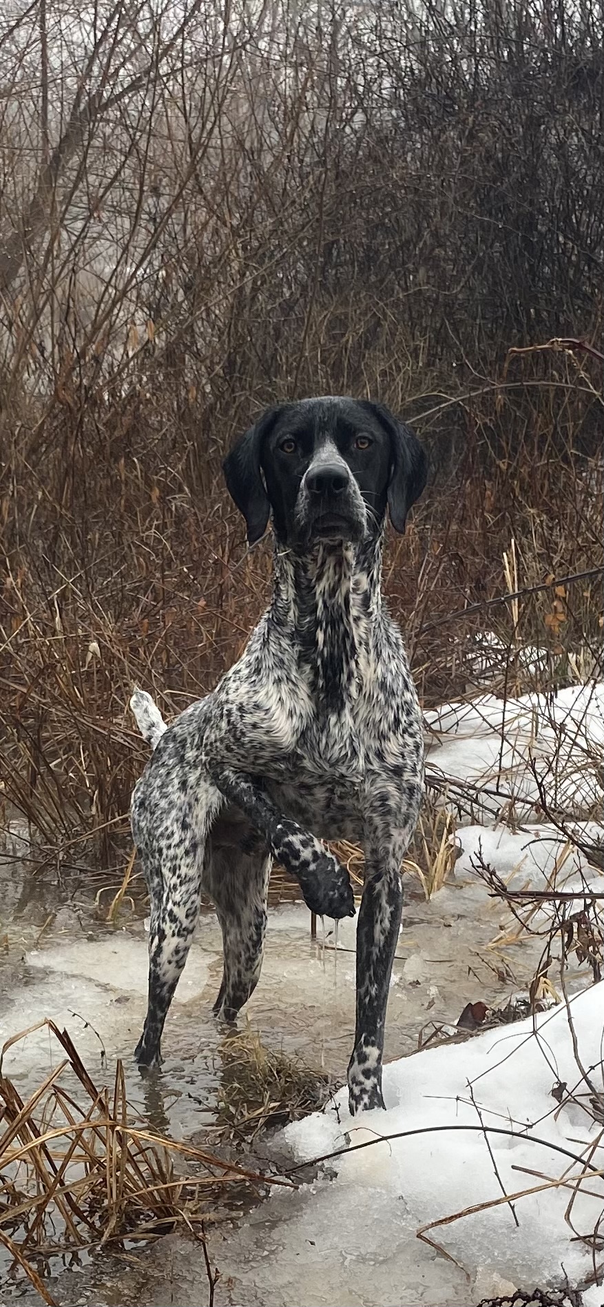 Photo Jan 31 2025, 2 25 18 PM