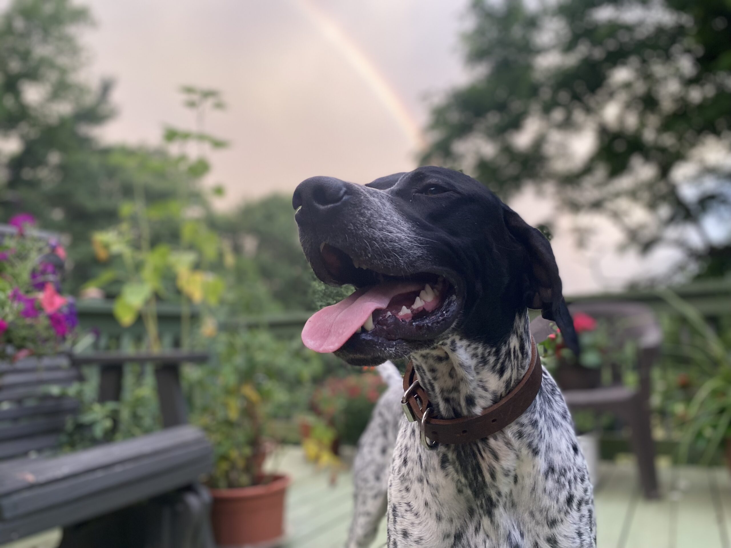 Photo Jul 06 2025, 8 35 09 PM