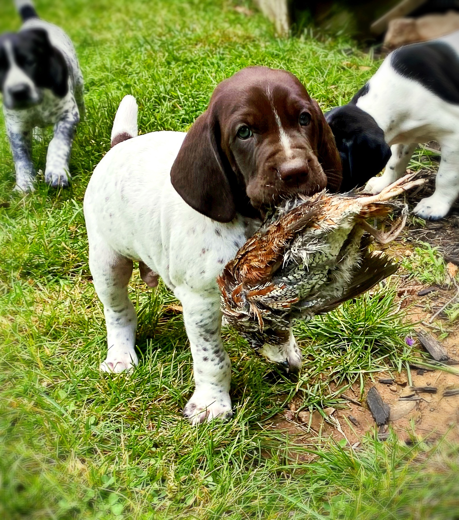 Photo May 28 2025, 4 20 00 PM