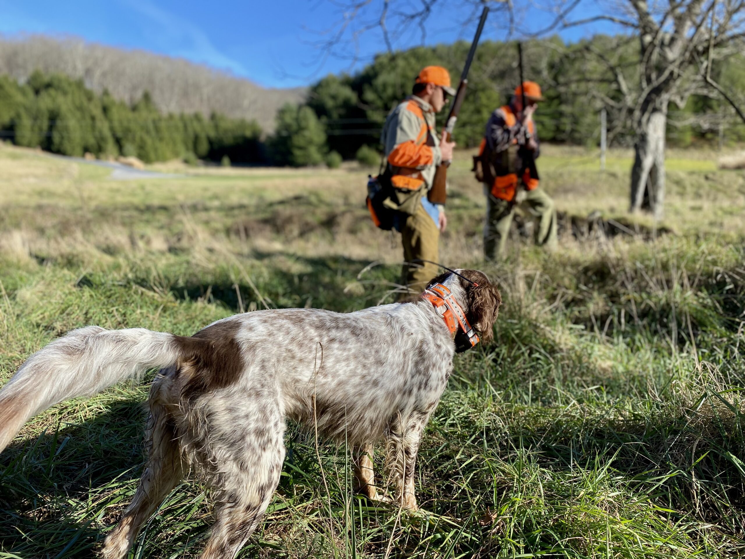 Photo Nov 24 2024, 2 35 30 PM