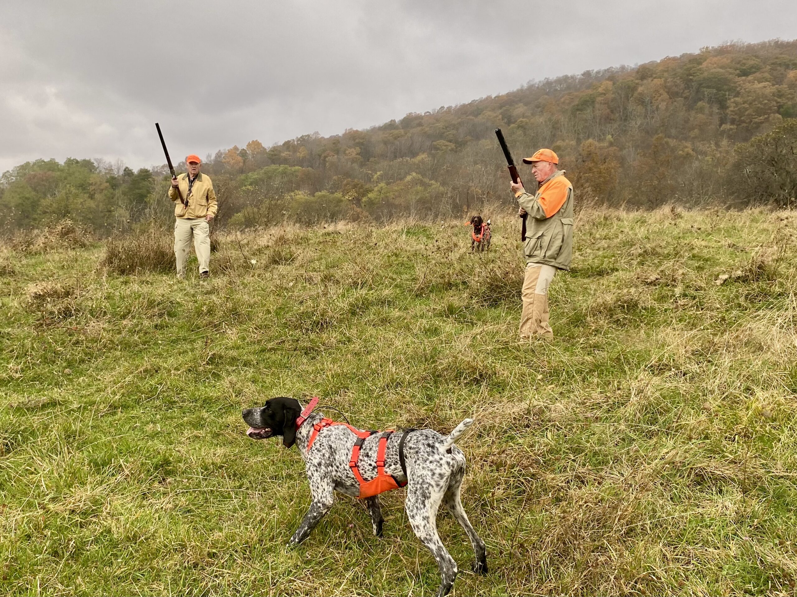 Photo Oct 19 2025, 3 36 50 PM