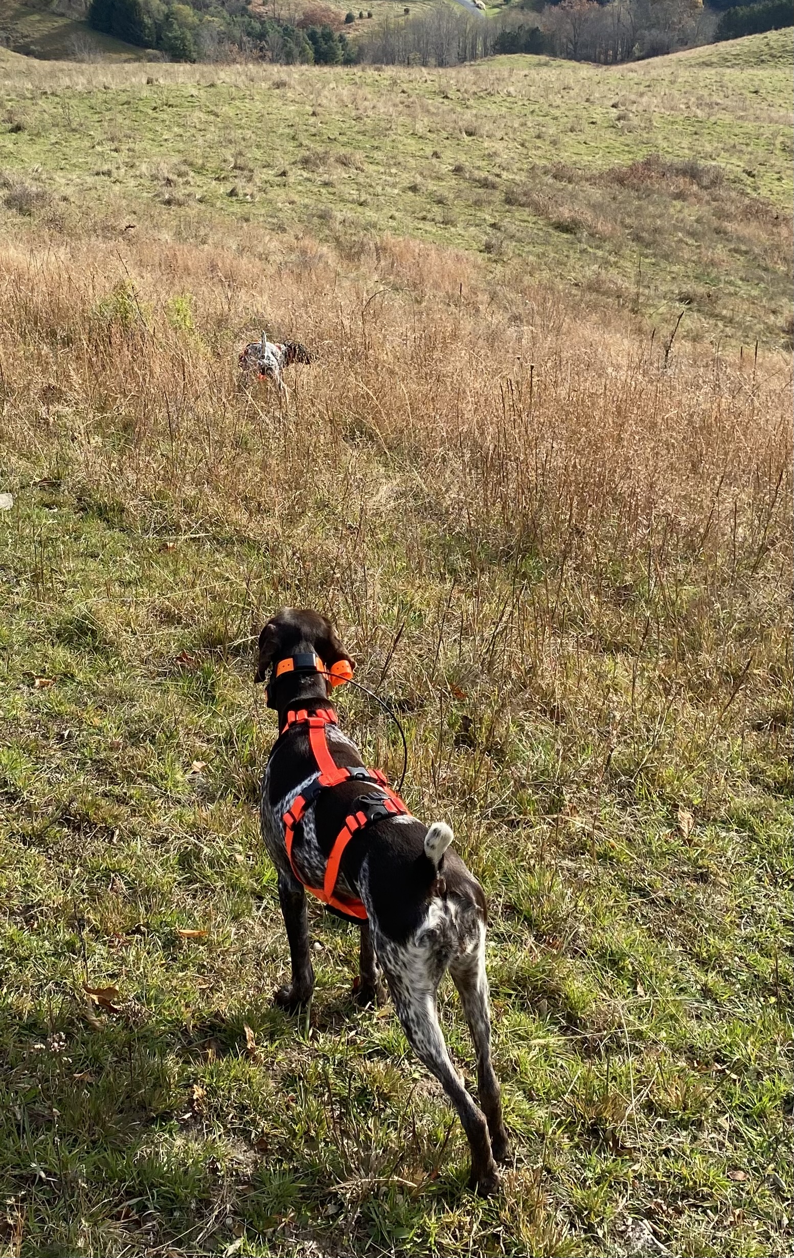 Photo Oct 27 2025, 10 08 44 AM