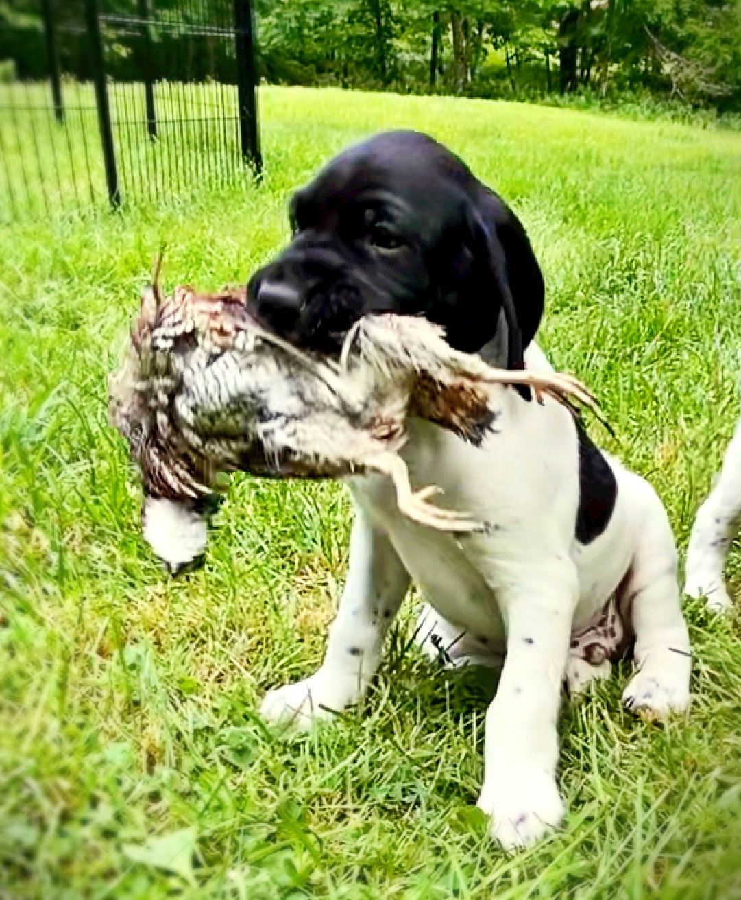 Photo Oct 29 2025, 12 39 09 PM