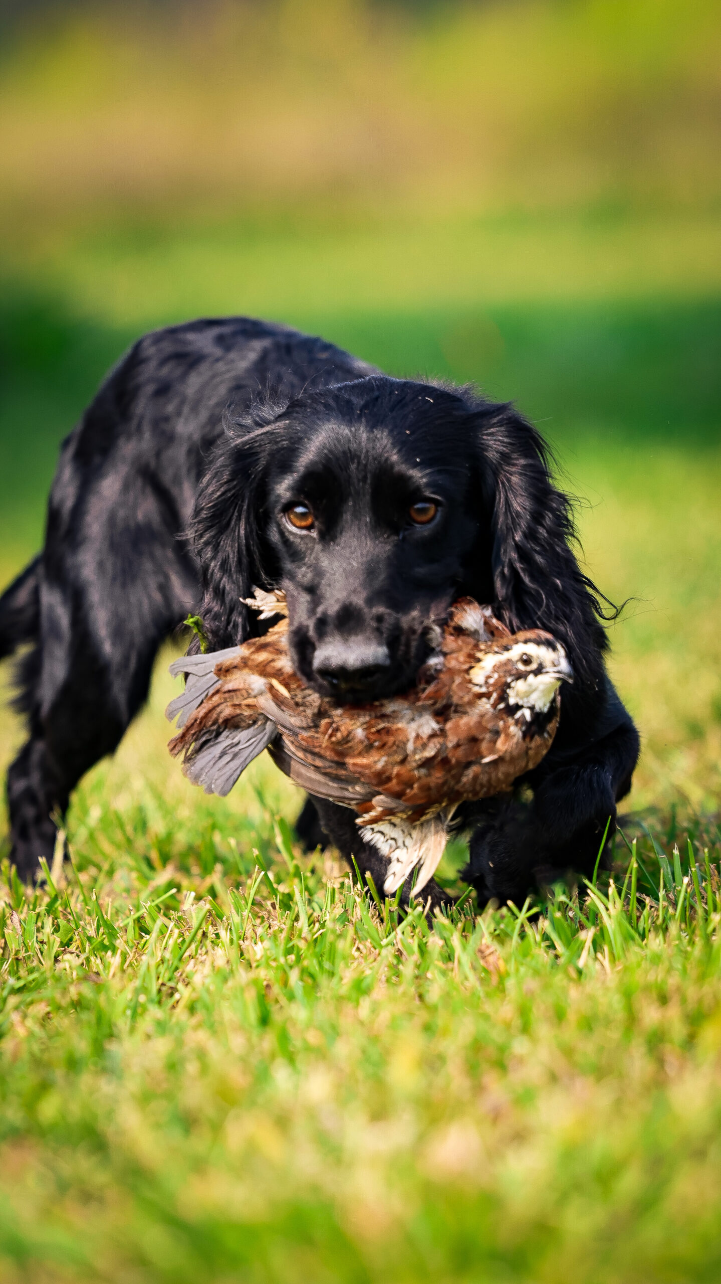 Photo Sep 05 2025, 4 23 37 PM